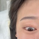 동남경로당 | 천안 신부동 속눈썹펌 “반하리” 내돈내산 후기