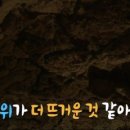 상록참숯가마찜질방 네이버블로그