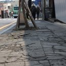 천제연로 이미지