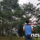 부론문화체육공원 뉴스1