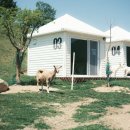 창호목장 이미지