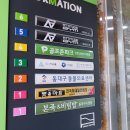 동구종합동물병원 | 주말진료 가능한 대구 동구 동물병원 고양이 종합검진 잘하는 곳