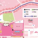 고창오락실