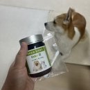 엑스팻 | 반려견 냄새, 배변냄새 오줌냄새 완화해주는 강아지유산균 오더엑스팻 강아지유산균 완전 추천 별 다섯개