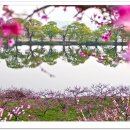 남산반곡지 이미지