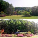 이스타치과의원 이미지