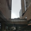 셀메디컬투어