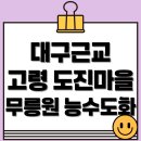도진식당 | 대구근교 고령 도진마을 무릉원 능수도화 꽃구경🌸
