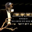 나다10 이미지