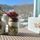 노루목향기 이미지