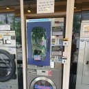별내동 운동화 세탁 가능한 24시 셀프 빨래방 화이트 365