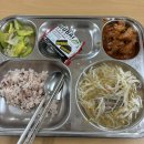 영미이불 | 2.9-2.15.