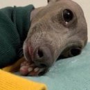 가고싶은 약손경락지압원 | 09, 결혼 준비 관리 시작! 예신 첫 경락마사지 후기ㅣ약손 스킨&amp;바디 전신관리