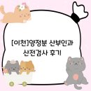 양전 | [이천]양전분산부인과 산전검사 후기