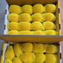 한진1농장 이미지