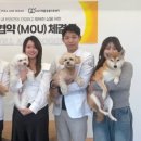 폴앤도기 이미지