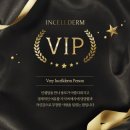 인셀덤 VIP