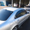 에스(S)게러지 이미지