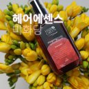 주식회사 엄지 | 엉킨 머리 구원투수? 미화당화장품 동백 마유 헤어에센스로 완성한 퍼퓸 헤어오일 윤기 솔직후기