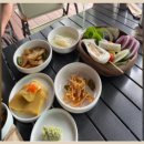 제주돈돗 이미지
