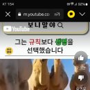 생명에 대한 나의 이미지