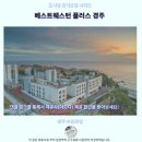 베스트 플러스 | 경주 감포 오션뷰 베스트웨스턴 플러스 후기