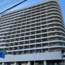 봄내대가 이미지