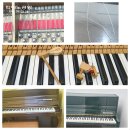 현 피아노 교습소 이미지