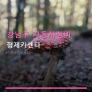 형제카센타 - 화성시 지산2길 20-13 | 형제카센타