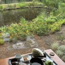 현모목장 이미지