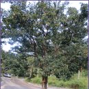 금강학교 이미지