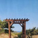 송라 아쿠아 이미지