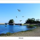 정치망민박 이미지