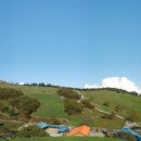 궁촌목장 이미지