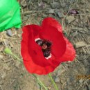 남도약수터 이미지