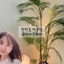 루디헤어 | 천천동 미용실 루디아르헤어 방문 수원 미용실 에쉬브라운 염색 후기