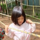 동일숲어린이집 이미지