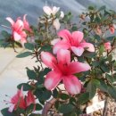 황등농장 이미지