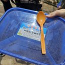365농장 | [강원 강릉] 강릉 옥계 쌍둥이 동물농장 방문후기 l 강릉, 동해 아이와 가볼만한 곳 추천 l 동물먹이...