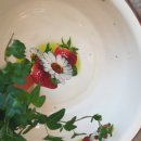 대야농협 이미지