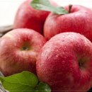 강화본치과의원 이미지