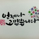 제790회 로또 1등 당첨을 비나이다~~816일차 이미지