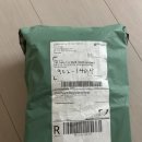 실리 | 실리 실라스 직구 후기, 가격 정보 (+5개월 아기 착샷)