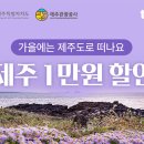 (주)조선호텔앤리조트 부산 이미지
