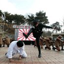 경기도 안성시 양성면사무소 이미지