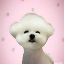 옛날닭계장 | 강화 나들이 추천 맛집 - 옛날닭계장 내돈내먹 솔직100% 후기