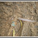 북교빌라 이미지