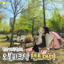 행복나들이불은마을 | 여의도 한강텐트대여 봄나들이, 노블피크닉 가격과 솔직후기