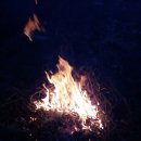 모닥불 이미지