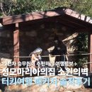 성모의집 | 더 버진 메리즈 하우스 터키 성지순례 성모마리의 집 방문후기